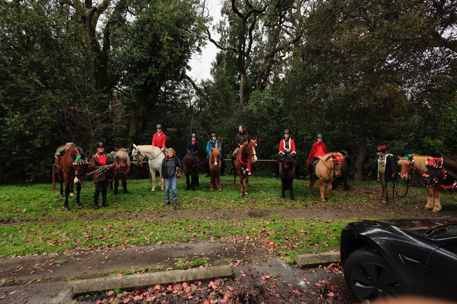 A gathering of horses and riders dressed for a holiday outing