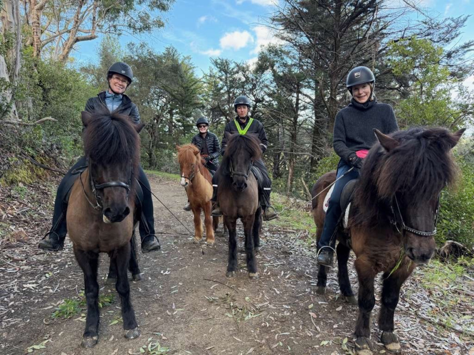 Four riders and their horses on a wooded trail